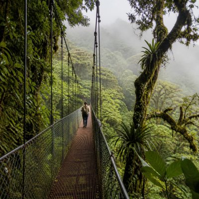 Monteverde