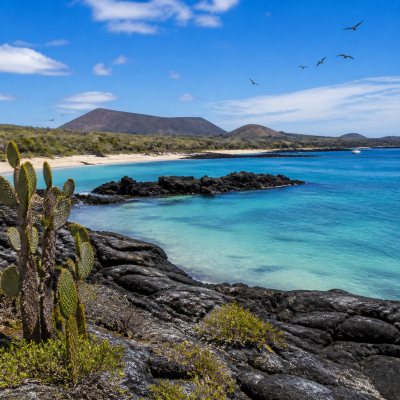 Galapagos