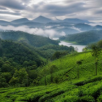 Wayanad