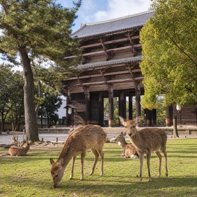 Nara