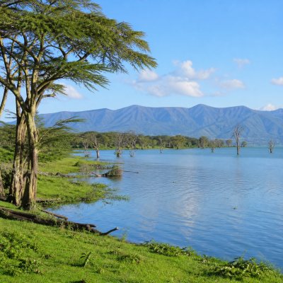 Naivasha