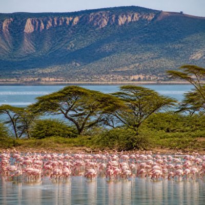 Nakuru