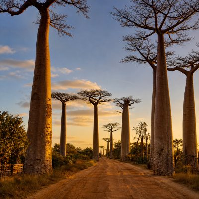 Morondava