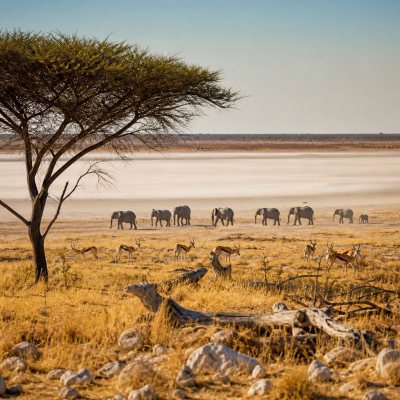 Etosha
