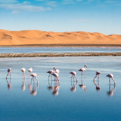 Walvis Bay
