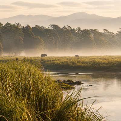 Chitwan