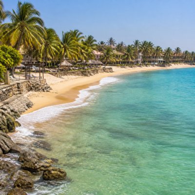 Saly