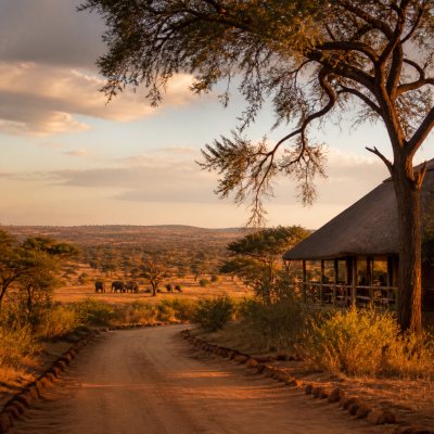 Kruger