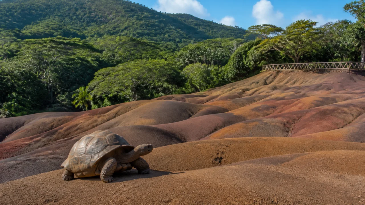 Seven Coloured Earth, Giant Tortoises and a Waterfall in Chamarel